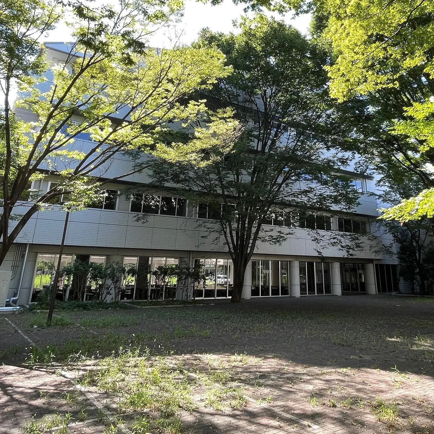 近日開校予定の小平市のインターナショナルスクール マルバーン...