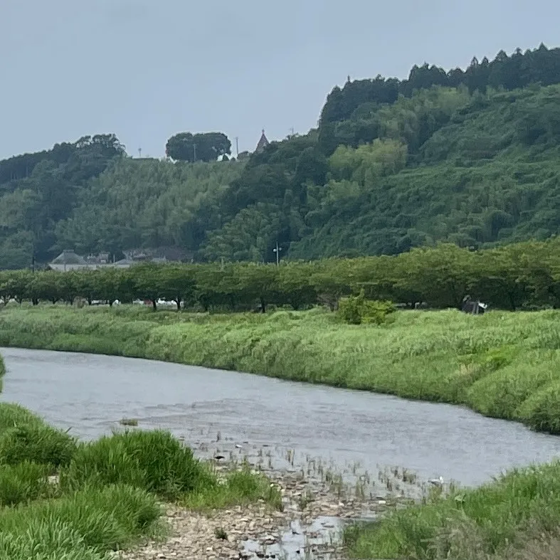 本日は栃木県喜連川に来ています。