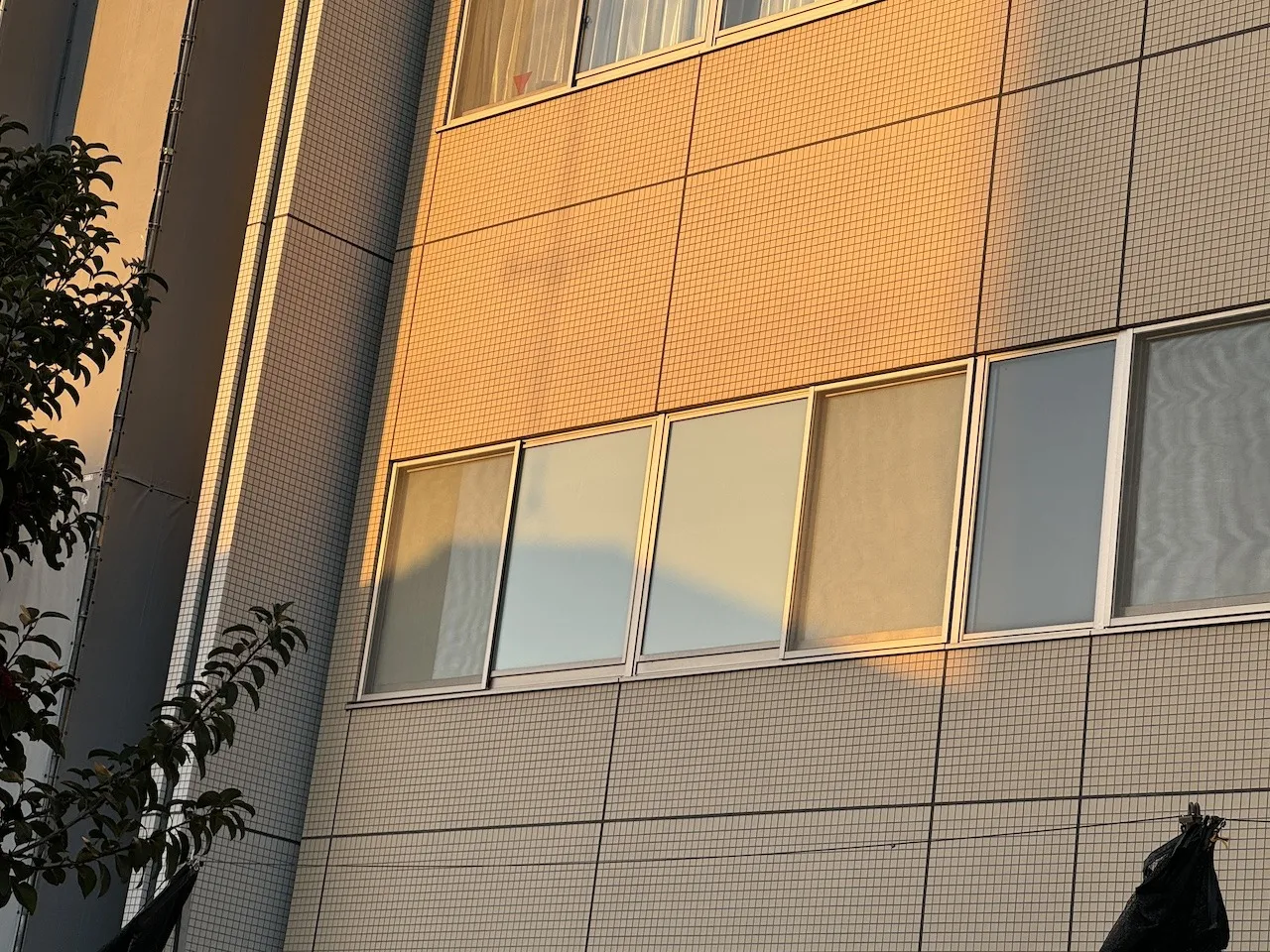 富士見市の医療機関I様の２F事務室の南西向き窓へミルキーミルキーを施工