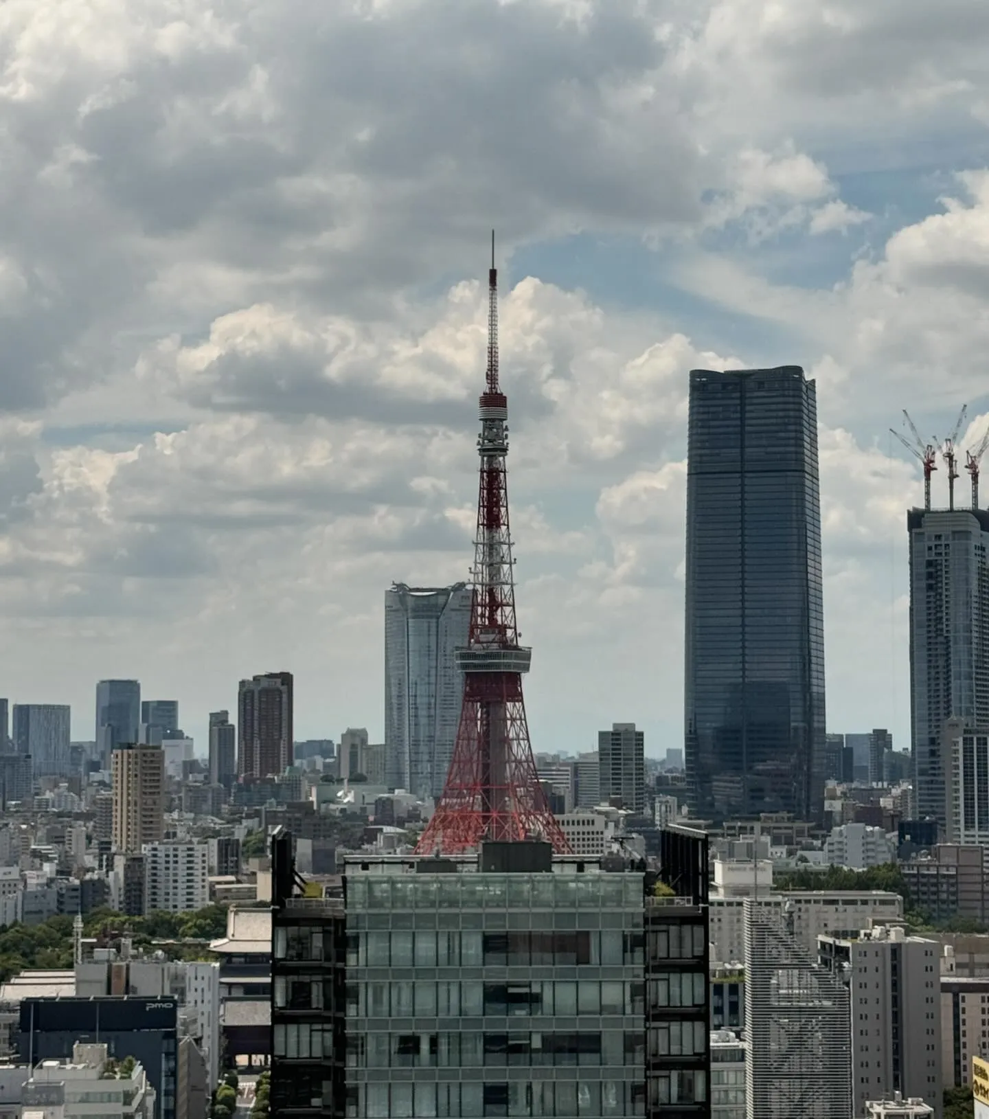 直ぐに飛散防止フィルムを写真のテーブル兼ディスプレー(サイネ...